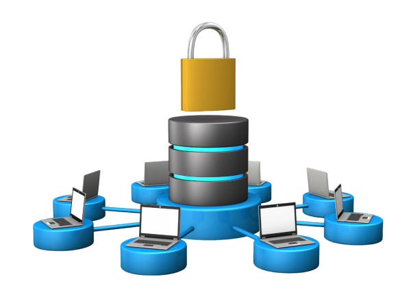 База рентгенографических снимков компонентов радиоэлектронной аппаратуры НОВО «ЭЛЕМЕНТ» купить по низкой цене | МАКСПРОФИТ